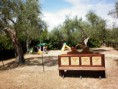 /album/casale-de-rubeis1/casale-de-rubeis-parco-giochi-bambini-1066x800-jpg/